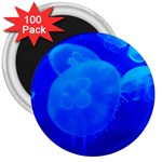 BLUE JELLYFISH 1 3  Magnets (100 pack)