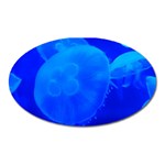 BLUE JELLYFISH 1 Oval Magnet