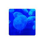 BLUE JELLYFISH 1 Square Magnet