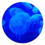 BLUE JELLYFISH 1 Magnet 5  (Round)