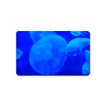 BLUE JELLYFISH 1 Magnet (Name Card)