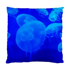 Blue Jellyfish 1 Standard Cushion Case (two Sides) by trendistuff