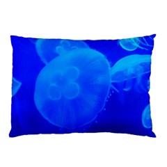 Blue Jellyfish 1 Pillow Case by trendistuff