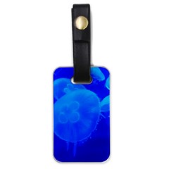 Blue Jellyfish 1 Luggage Tags (one Side)  by trendistuff