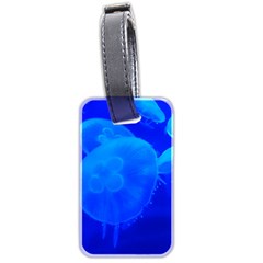 Blue Jellyfish 1 Luggage Tags (two Sides)