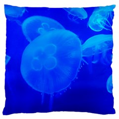 Blue Jellyfish 1 Large Cushion Case (two Sides) by trendistuff