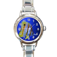 Butterfly Fish 1 Round Italian Charm Watch by trendistuff