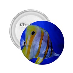 Butterfly Fish 1 2 25  Buttons by trendistuff