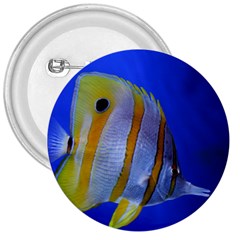 Butterfly Fish 1 3  Buttons by trendistuff