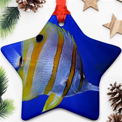 Butterfly Fish 1 Ornament (star) by trendistuff