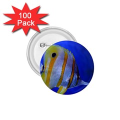 Butterfly Fish 1 1 75  Buttons (100 Pack)  by trendistuff