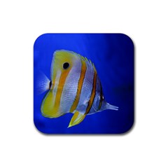 Butterfly Fish 1 Rubber Coaster (square)  by trendistuff