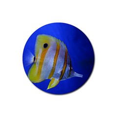 Butterfly Fish 1 Rubber Round Coaster (4 Pack)  by trendistuff