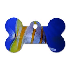 Butterfly Fish 1 Dog Tag Bone (two Sides) by trendistuff