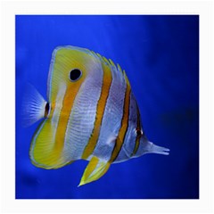 Butterfly Fish 1 Medium Glasses Cloth (2-side) by trendistuff