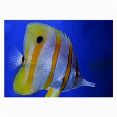 Butterfly Fish 1 Large Glasses Cloth by trendistuff