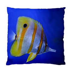 Butterfly Fish 1 Standard Cushion Case (two Sides) by trendistuff