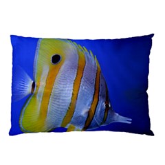 Butterfly Fish 1 Pillow Case by trendistuff