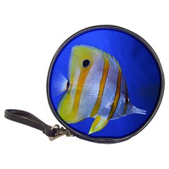 Butterfly Fish 1 Classic 20-cd Wallets by trendistuff