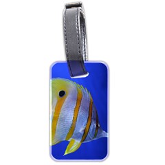 Butterfly Fish 1 Luggage Tags (two Sides)