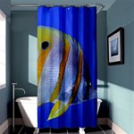 BUTTERFLY FISH 1 Shower Curtain 36  x 72  (Stall)  Curtain(36 X72 ) - 33.26 x66.24  Curtain(36 X72 )