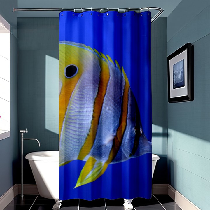 BUTTERFLY FISH 1 Shower Curtain 36  x 72  (Stall) 