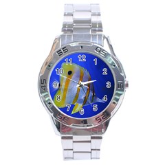 Butterfly Fish 1 Stainless Steel Analogue Watch by trendistuff