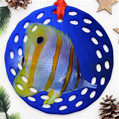 Butterfly Fish 1 Ornament (round Filigree) by trendistuff