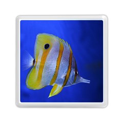 Butterfly Fish 1 Memory Card Reader (square)  by trendistuff