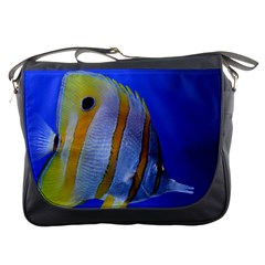 Butterfly Fish 1 Messenger Bags by trendistuff