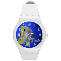 Butterfly Fish 1 Round Plastic Sport Watch (m) by trendistuff