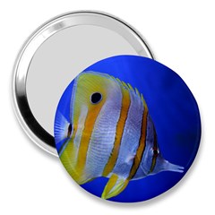 Butterfly Fish 1 3  Handbag Mirrors by trendistuff