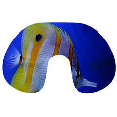 Butterfly Fish 1 Travel Neck Pillows by trendistuff