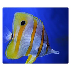 Butterfly Fish 1 Double Sided Flano Blanket (small)  by trendistuff