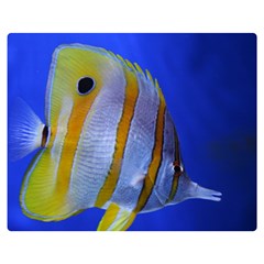 Butterfly Fish 1 Double Sided Flano Blanket (medium)  by trendistuff