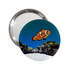 CLOWNFISH 1 2.25  Handbag Mirrors