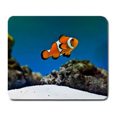 CLOWNFISH 1 Large Mousepads