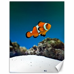 CLOWNFISH 1 Canvas 12  x 16  