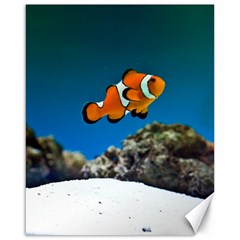 CLOWNFISH 1 Canvas 16  x 20  