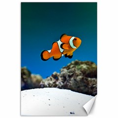 CLOWNFISH 1 Canvas 24  x 36 