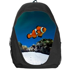 CLOWNFISH 1 Backpack Bag