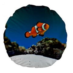 CLOWNFISH 1 Large 18  Premium Round Cushions