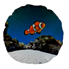 CLOWNFISH 1 Large 18  Premium Flano Round Cushions