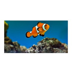 CLOWNFISH 1 Satin Wrap