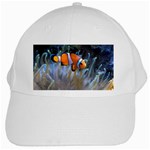 CLOWNFISH 2 White Cap