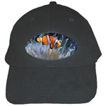 CLOWNFISH 2 Black Cap