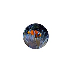 Clownfish 2 1  Mini Buttons by trendistuff