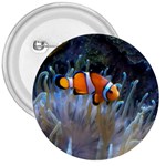 CLOWNFISH 2 3  Buttons