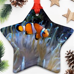 Clownfish 2 Ornament (star) by trendistuff