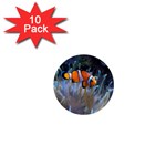 CLOWNFISH 2 1  Mini Buttons (10 pack) 